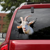 [dt0630-snf-tnt]-saanen-goat-crack-car-sticker-farm-animals-lover