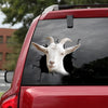 [dt0632-snf-tnt]-saanen-goat-crack-car-sticker-farm-animals-lover