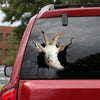 [dt0635-snf-tnt]-saanen-goat-crack-car-sticker-farm-animals-lover
