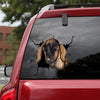 [dt0639-snf-tnt]-nubian-goat-crack-car-sticker-farm-animals-lover