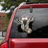 [dt0648-snf-tnt]-alpine-goat-crack-car-sticker-farm-animals-lover