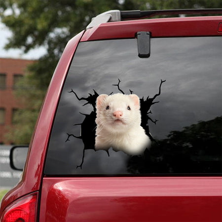 [dt0653-snf-tnt]ferret-crack-car-sticker-animals-lover