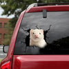 [dt0653-snf-tnt]ferret-crack-car-sticker-animals-lover