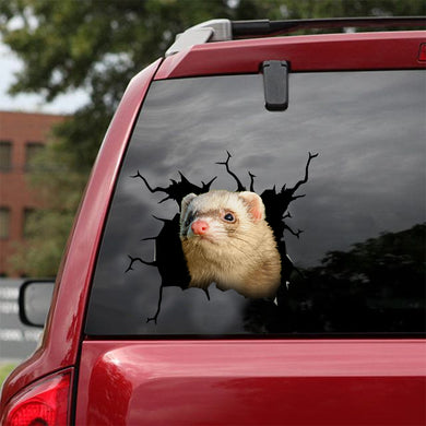 [dt0654-snf-tnt]ferret-crack-car-sticker-animals-lover