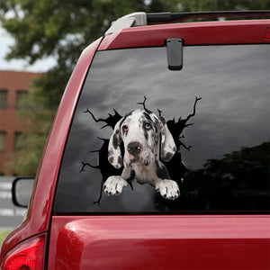 [dt0665-snf-tnt]-great-dane-crack-car-sticker-dog-lovers