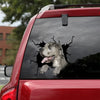 [dt0668-snf-tnt]-great-dane-crack-car-sticker-dog-lovers