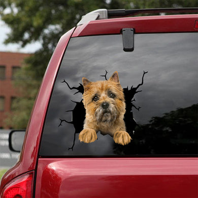 [dt0672-snf-tnt]-cairn-terrier-crack-car-sticker-dog-lovers