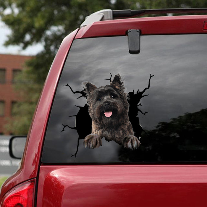 [dt0673-snf-tnt]-cairn-terrier-crack-car-sticker-dog-lovers