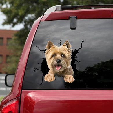 [dt0675-snf-tnt]-cairn-terrier-crack-car-sticker-dog-lovers