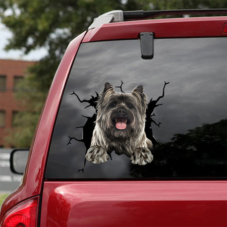 [dt0676-snf-tnt]-cairn-terrier-crack-car-sticker-dog-lovers