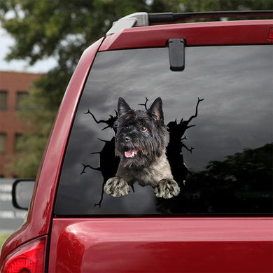 [dt0677-snf-tnt]-cairn-terrier-crack-car-sticker-dog-lovers