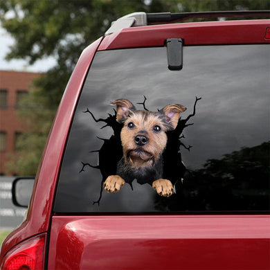 [dt0680-snf-tnt]-border-terrier-crack-car-sticker-dog-lovers