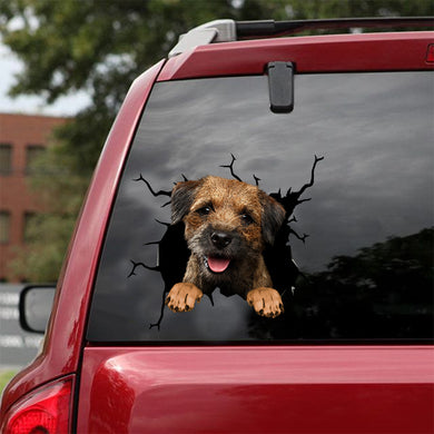 [dt0683-snf-tnt]-border-terrier-crack-car-sticker-dog-lovers