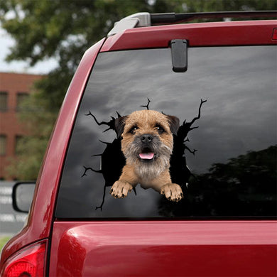 [dt0684-snf-tnt]-border-terrier-crack-car-sticker-dog-lovers