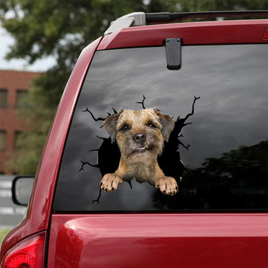 [dt0686-snf-tnt]-border-terrier-crack-car-sticker-dog-lovers
