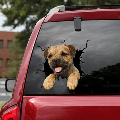 [dt0687-snf-tnt]-border-terrier-crack-car-sticker-dog-lovers