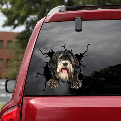[dt0688-snf-tnt]-tibetan-terrier-crack-car-sticker-dog-lovers