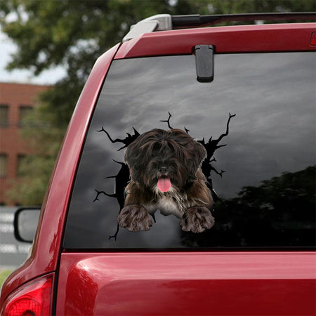 [dt0696-snf-tnt]-tibetan-terrier-crack-car-sticker-dog-lovers