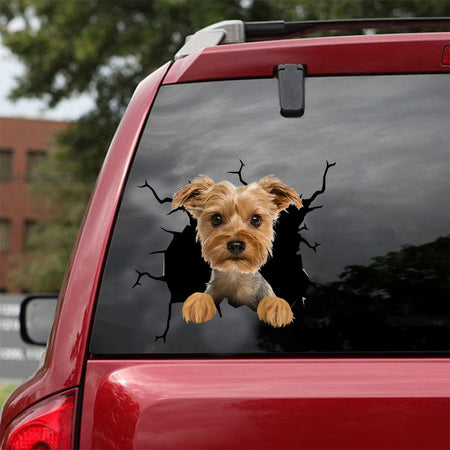 [dt0698-snf-tnt]-yorkshire-crack-car-sticker-dog-lovers