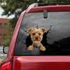 [dt0698-snf-tnt]-yorkshire-crack-car-sticker-dog-lovers