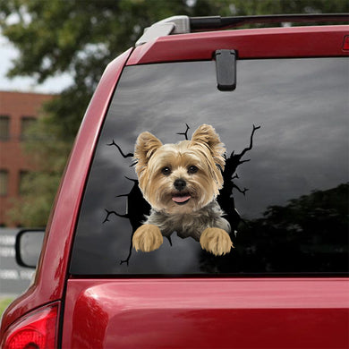 [dt0699-snf-tnt]-yorkshire-crack-car-sticker-dog-lovers