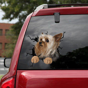 [dt0700-snf-tnt]-yorkshire-crack-car-sticker-dog-lovers