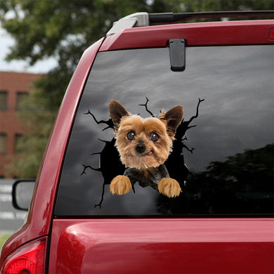 [dt0701-snf-tnt]-yorkshire-crack-car-sticker-dog-lovers