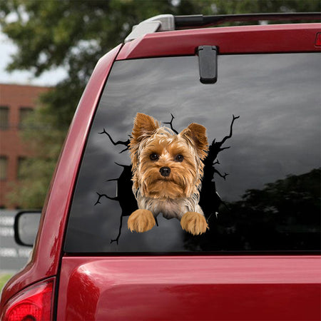 [dt0702-snf-tnt]-yorkshire-crack-car-sticker-dog-lovers