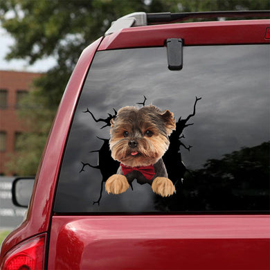 [dt0703-snf-tnt]-yorkshire-crack-car-sticker-dog-lovers