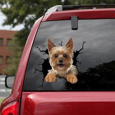 [dt0705-snf-tnt]-yorkshire-crack-car-sticker-dog-lovers