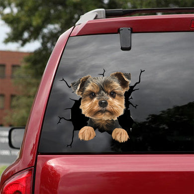 [dt0706-snf-tnt]-yorkshire-crack-car-sticker-dog-lovers