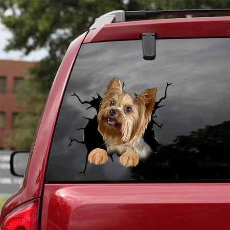 [dt0708-snf-tnt]-yorkshire-crack-car-sticker-dog-lovers