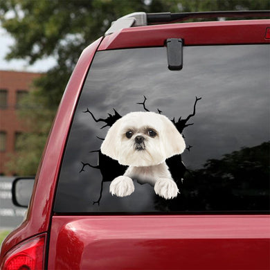 [dt0723-snf-tnt]-shih-tzu-crack-car-sticker-dog-lovers