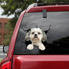 [dt0727-snf-tnt]-shih-tzu-crack-car-sticker-dog-lovers