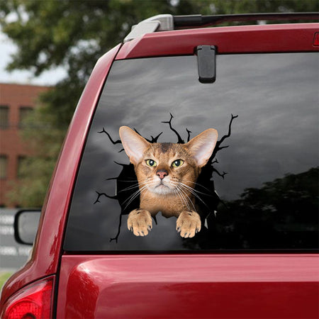 [dt0732-snf-tnt]-abyssinian-cat-crack-car-sticker-cat-lovers
