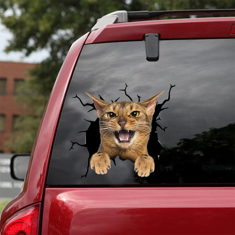 [dt0733-snf-tnt]-abyssinian-cat-crack-car-sticker-cat-lovers