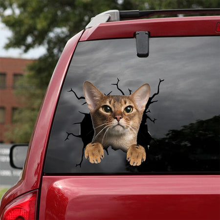 [dt0734-snf-tnt]-abyssinian-cat-crack-car-sticker-cat-lovers