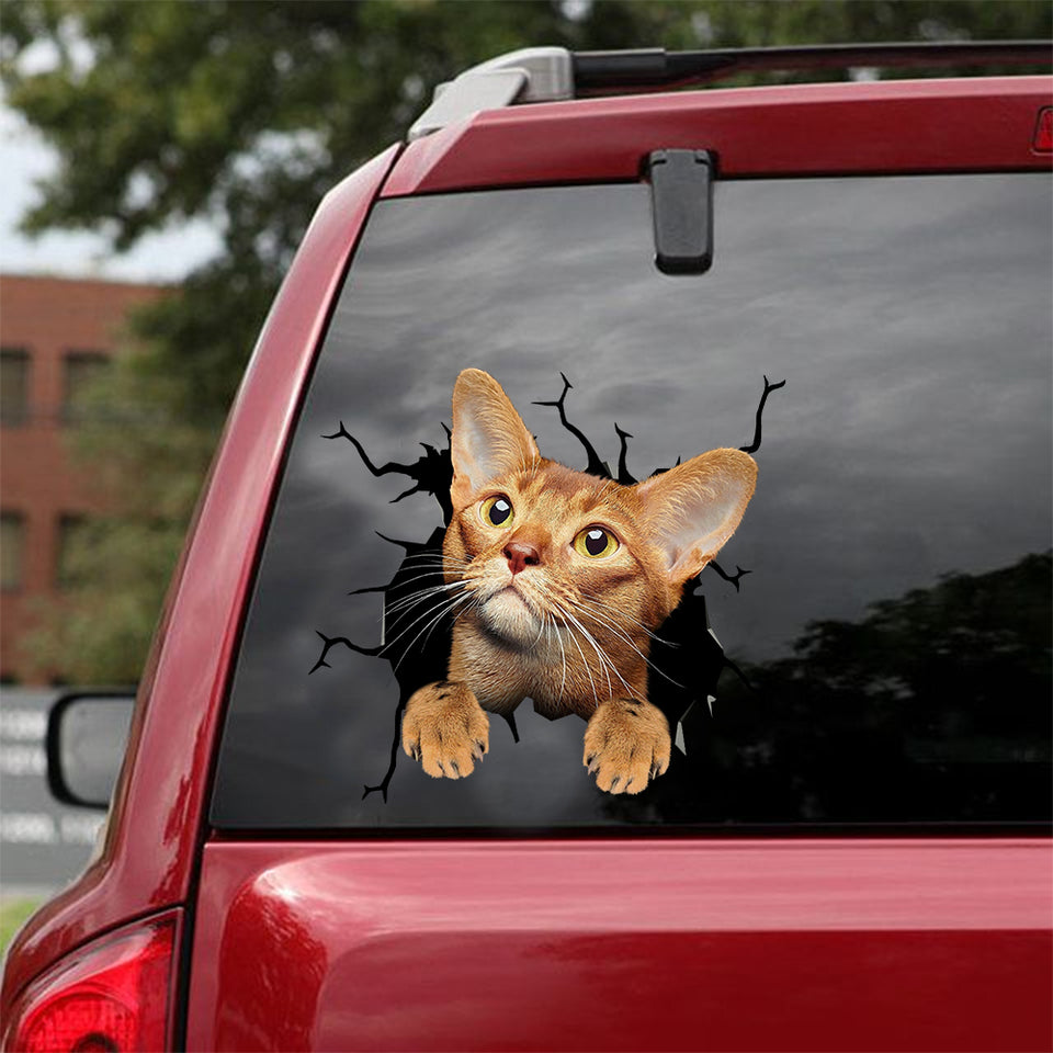 [dt0735-snf-tnt]-abyssinian-cat-crack-car-sticker-cat-lovers