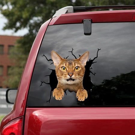[dt0736-snf-tnt]-abyssinian-cat-crack-car-sticker-cat-lovers