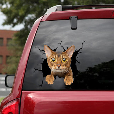 [dt0737-snf-tnt]-abyssinian-cat-crack-car-sticker-cat-lovers