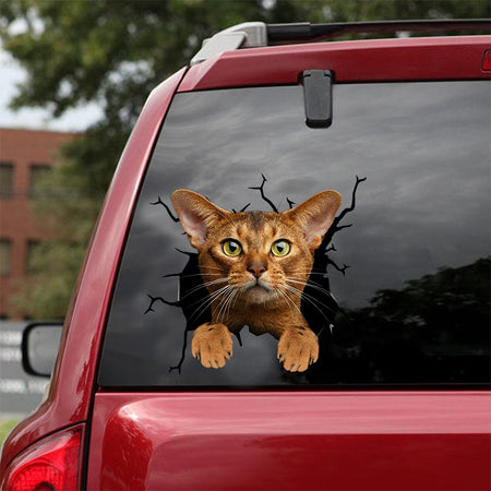 [dt0739-snf-tnt]-abyssinian-cat-crack-car-sticker-cat-lovers