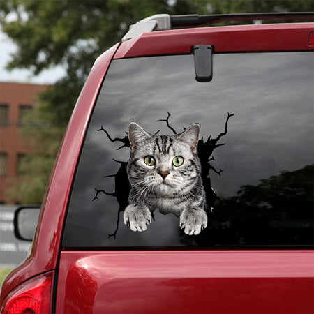 [dt0748-snf-tnt]-american-shorthair-cat-crack-car-sticker-cat-lovers