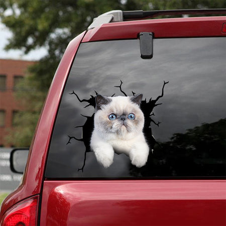 [dt0753-snf-tnt]-exotic-cat-crack-car-sticker-cat-lovers