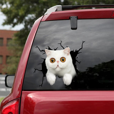 [dt0754-snf-tnt]-exotic-cat-crack-car-sticker-cat-lovers
