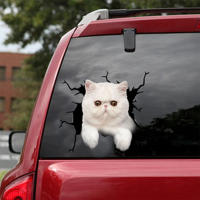 [dt0756-snf-tnt]-exotic-cat-crack-car-sticker-cat-lovers