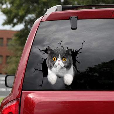 [dt0757-snf-tnt]-exotic-cat-crack-car-sticker-cat-lovers