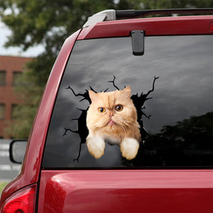 [dt0758-snf-tnt]-exotic-cat-crack-car-sticker-cat-lovers