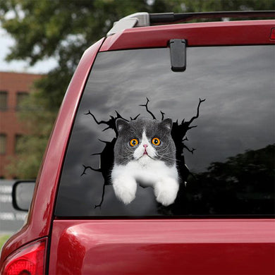 [dt0759-snf-tnt]-exotic-cat-crack-car-sticker-cat-lovers