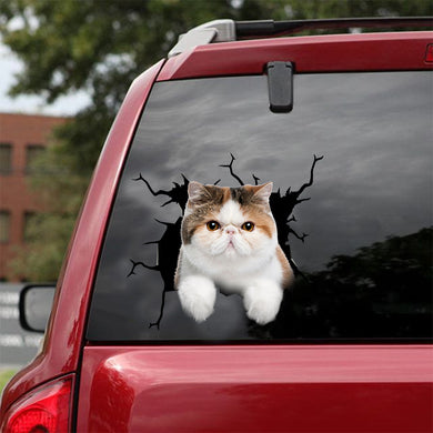 [dt0761-snf-tnt]-exotic-cat-crack-car-sticker-cat-lovers