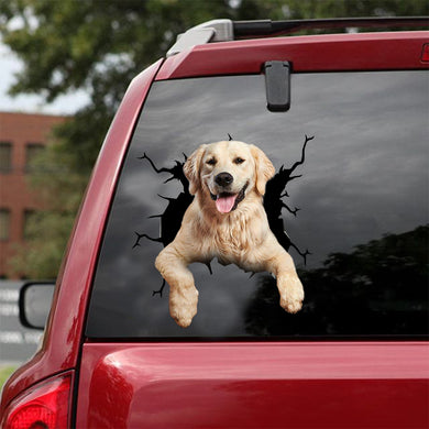 [dt0764-snf-tnt]-labrador-crack-car-sticker-dog-lovers